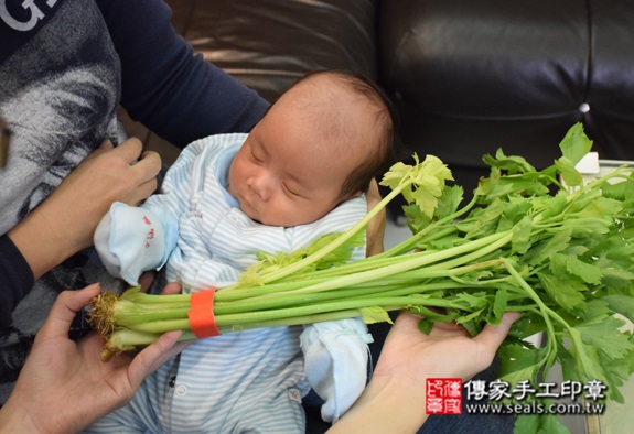 孫寶寶(台北萬華區到府嬰兒寶寶滿月剃頭理髮、免費到府嬰兒剃胎毛儀式吉祥話)。到府剃頭剃胎毛主持、專業拍照、DVD光碟、證書。★購買「臍帶章、肚臍章、胎毛筆刷印章」贈送：剃頭、收涎、抓周，三選一。2015.10.18 照片14
